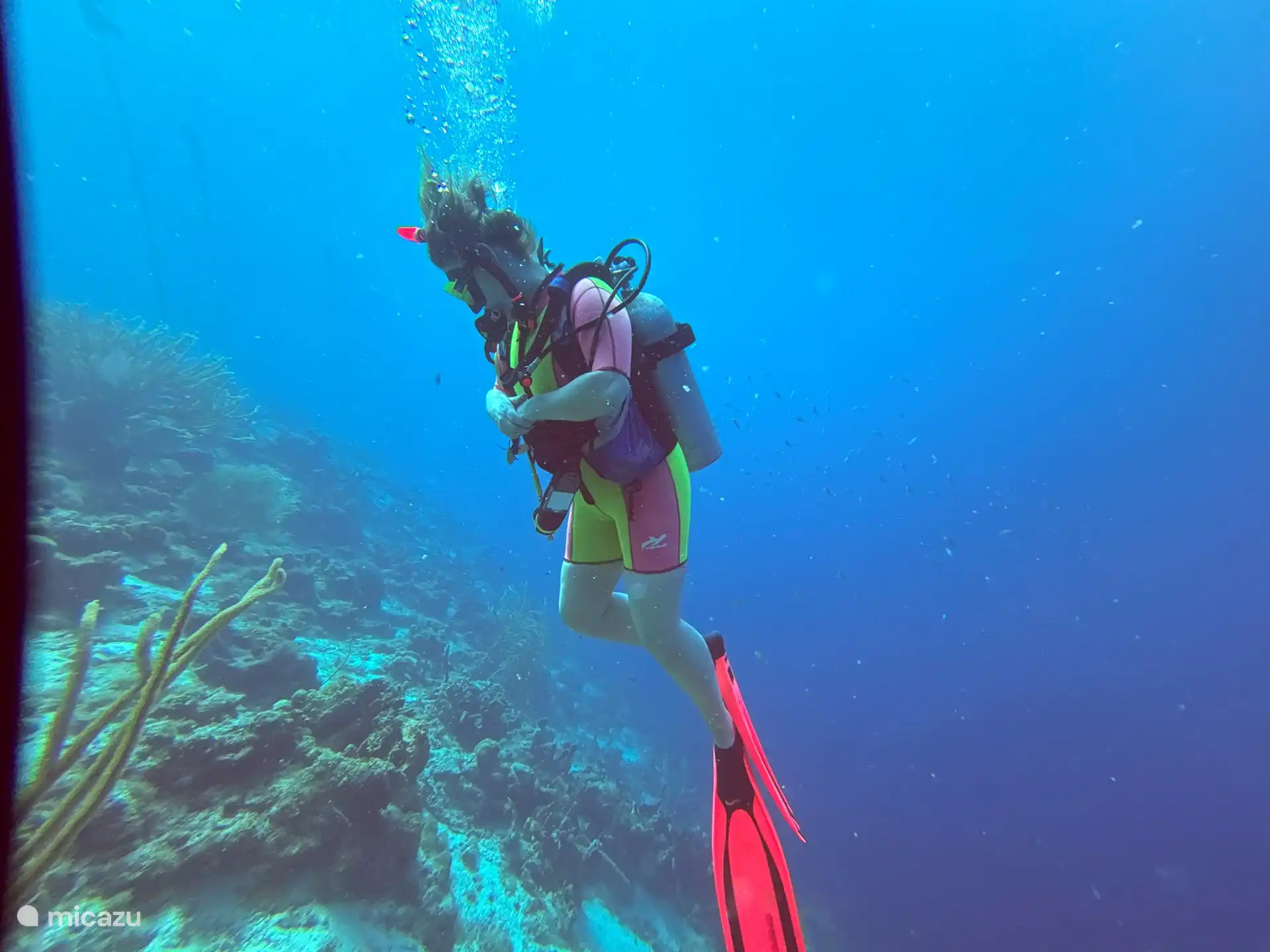 Duiken vanaf het strand bij Blue Bay is mogelijk