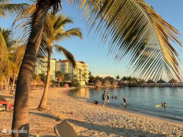 Location de Vacances Curaçao, Curaçao-Centre, Sint Michiel, appartement - Blue Bay Triple Arbre 'La Colline' La plage de Blue Bay au coucher du soleil est l’une des plus belles plages de Curaçao.