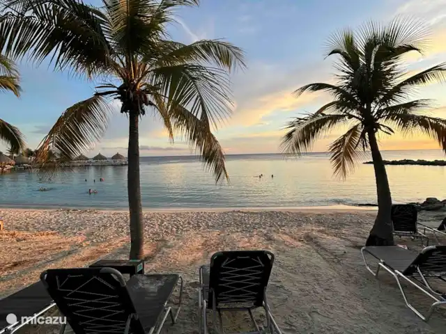 Location de Vacances Curaçao, Curaçao-Centre, Sint Michiel, appartement - Blue Bay Triple Arbre 'La Colline' Les chaises longues de Blue Bay sont gratuites pour nos clients.
