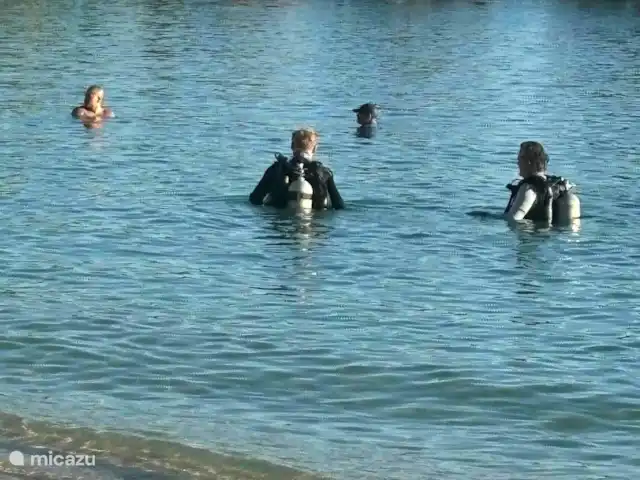 Location de Vacances Curaçao, Curaçao-Centre, Sint Michiel, appartement - Blue Bay Triple Arbre 'La Colline' De la plage de Blue Bay, vous pouvez louer du matériel de plongée et plonger vous-même ou sous surveillance.