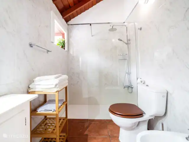 Casa Sol y Mar | Espagne, La Palma, Tijarafe - maison de vacances Salle de bain moderne avec WC et douche