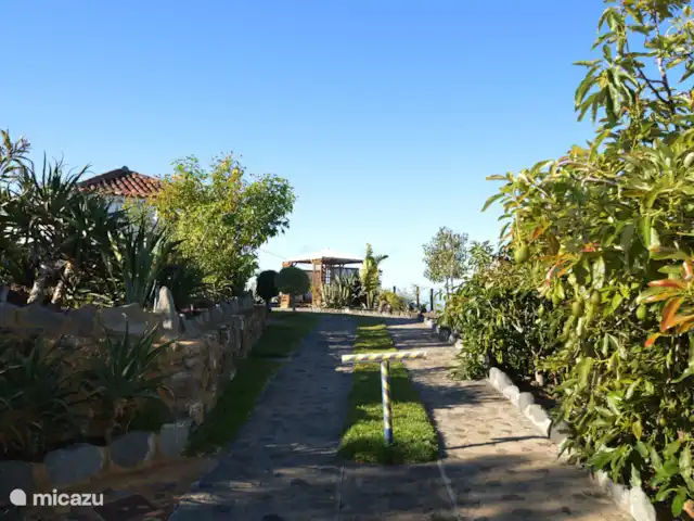 Casa Sol y Mar | Espagne, La Palma, Tijarafe - maison de vacances L’allée