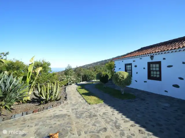 Casa Sol y Mar | Espagne, La Palma, Tijarafe - maison de vacances L’allée