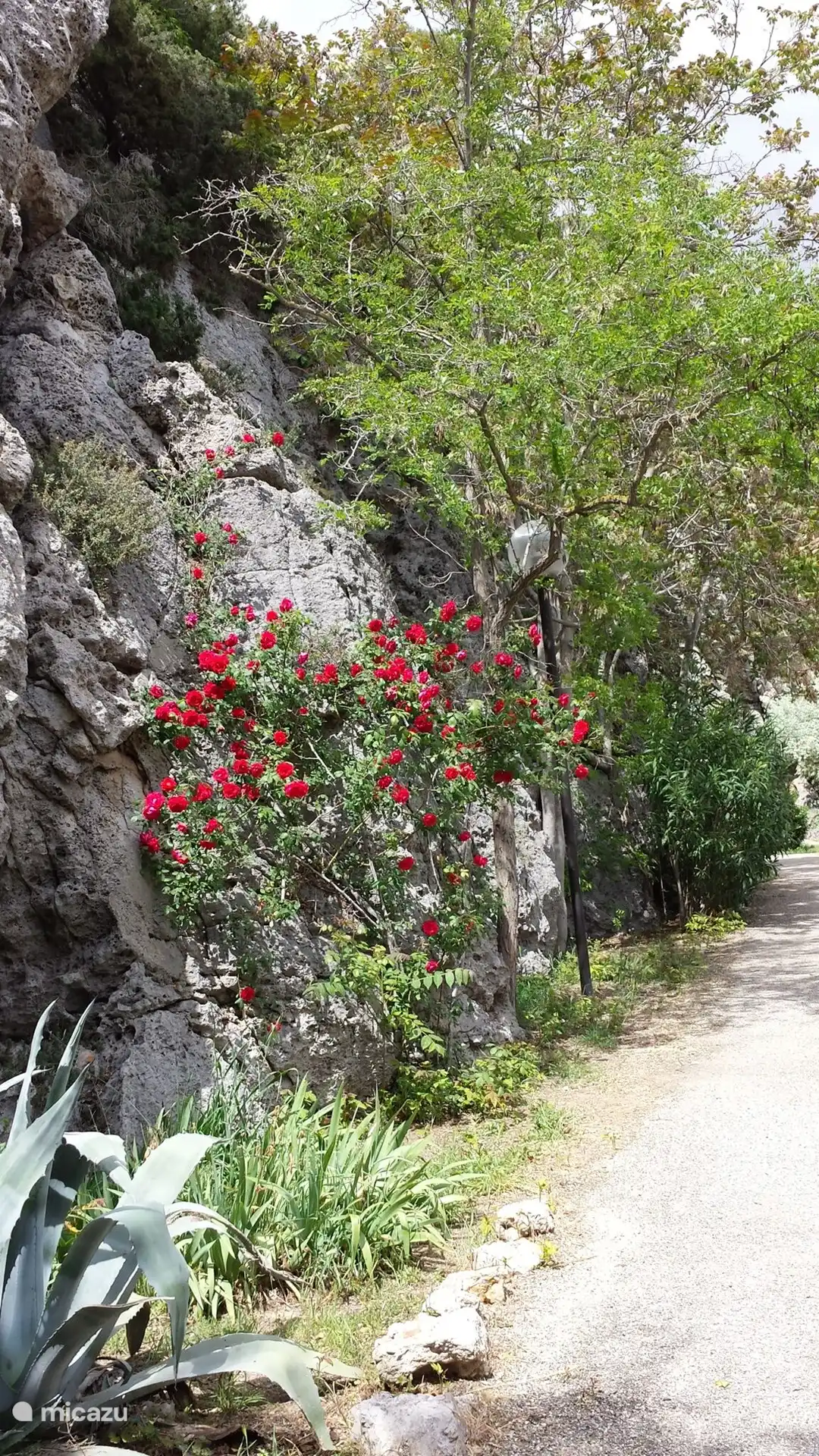 Wandern entlang der Clape in Narbonne Plage