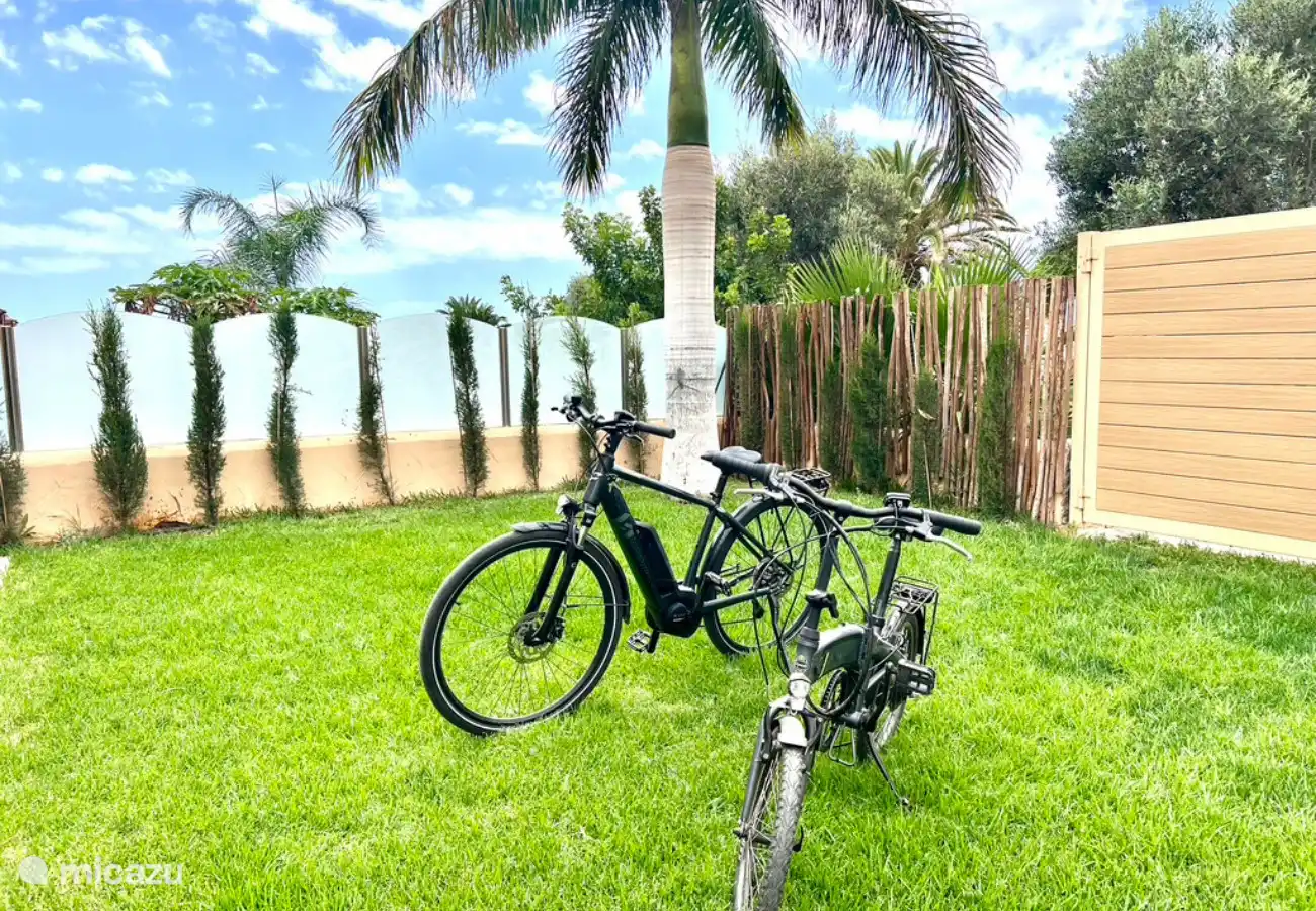 Elektrofahrräder, mit denen Sie die Gegend erkunden können (gegen Aufpreis)