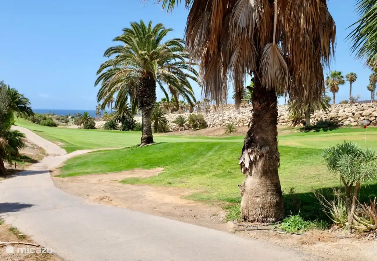 Grüne Umgebung und Meerblick