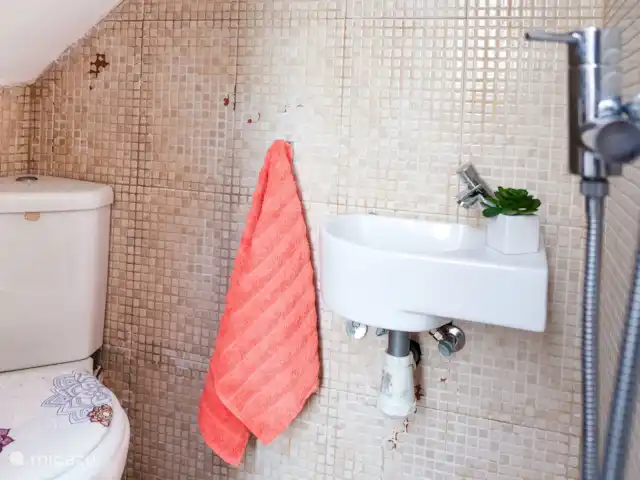 Casa Joya | Espagne, Tenerife, Adeje - maison de vacances Salle de bain supplémentaire avec toilettes, douche et lavabo