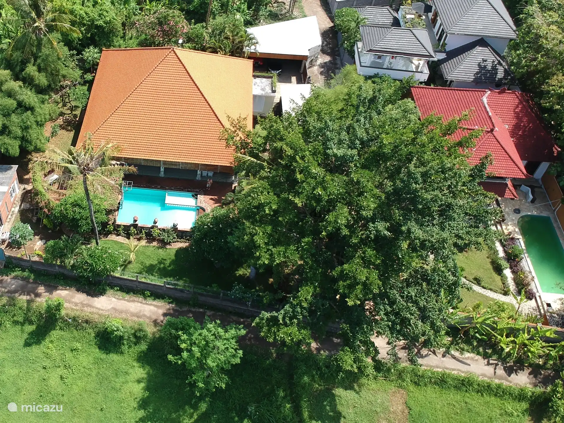 villa, Kalibukbuk, Bali, Indonesia - Mimosa Luxurious Villa