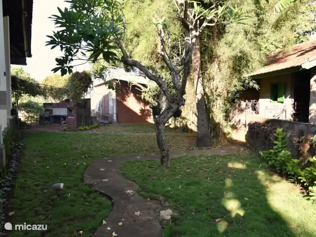 Villa de luxe Mimosa | Indonésie, Bali, Kalibukbuk - villa Jardin