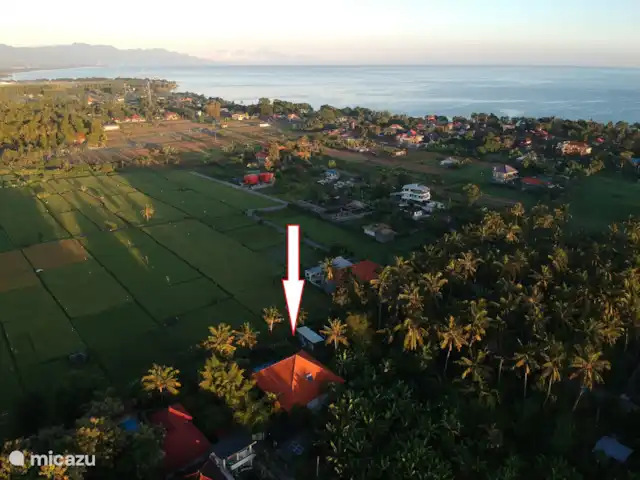 Villa de luxe Mimosa | Indonésie, Bali, Kalibukbuk - villa Emplacement de la villa