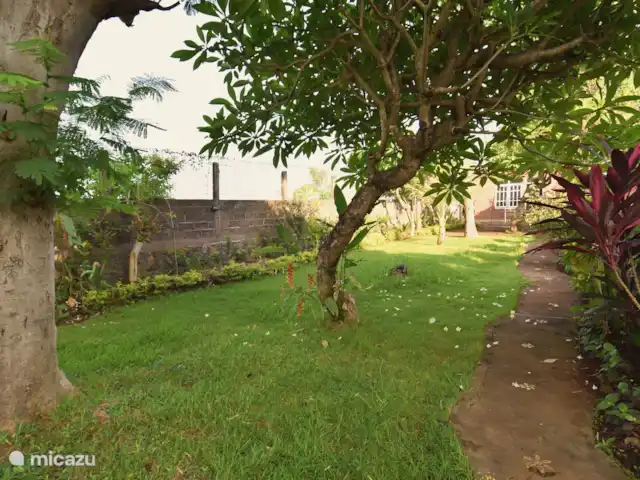 Villa de luxe Mimosa | Indonésie, Bali, Kalibukbuk - villa Jardin