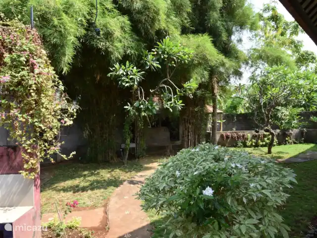 Villa de luxe Mimosa | Indonésie, Bali, Kalibukbuk - villa Jardin