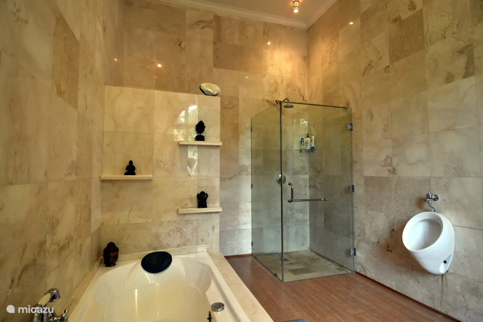 Bathroom, bathtub, shower