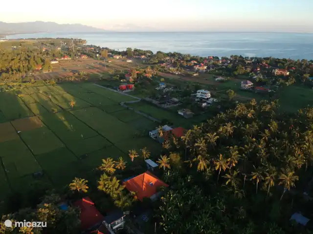 Villa de luxe Mimosa | Indonésie, Bali, Kalibukbuk - villa paysage