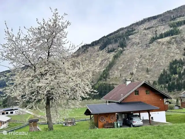 Chalet Murmel huren in Oostenrijk, Karinthië, Grosskirchheim - vakantiehuis Chalet Murmel in de herfst