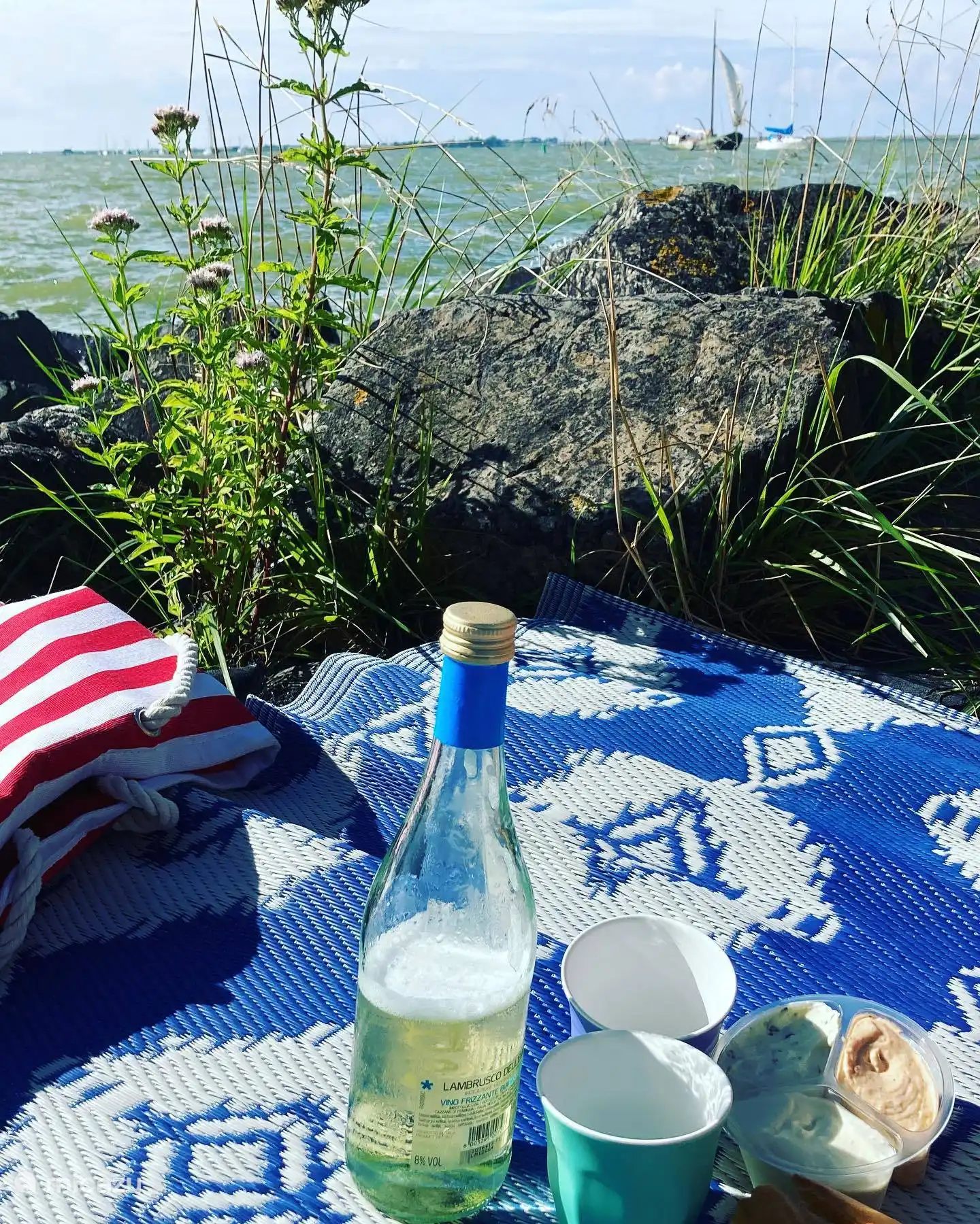 picnic junto al agua