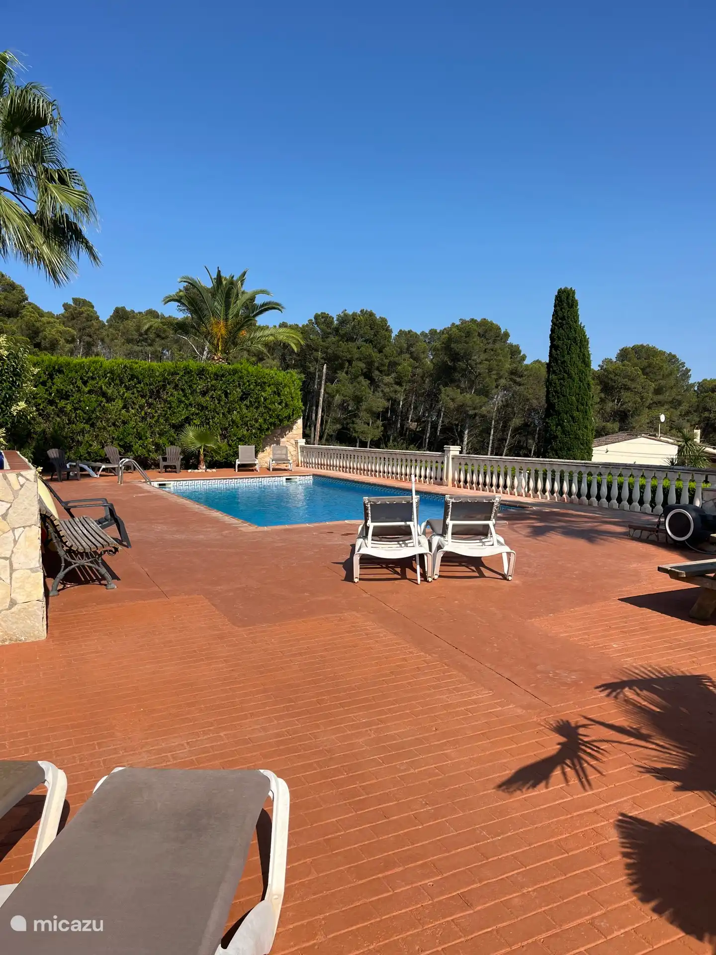 Der Garten mit Swimmingpool und Sonnenliegen