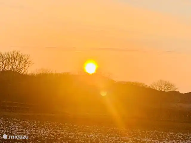 Dune Lagoon huren in Nederland, Noord-Holland, Egmond aan den Hoef - bungalow uitzicht