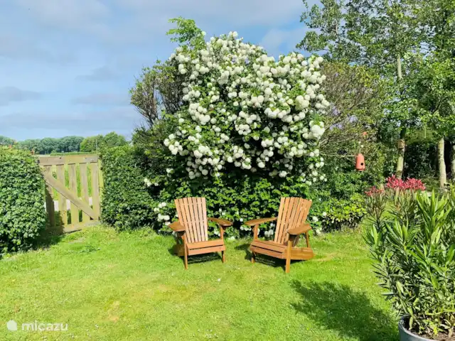 Dune Lagoon huren in Nederland, Noord-Holland, Egmond aan den Hoef - bungalow tuin