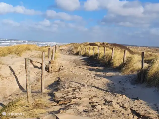 Dune Lagoon huren in Nederland, Noord-Holland, Egmond aan den Hoef - bungalow duinen
