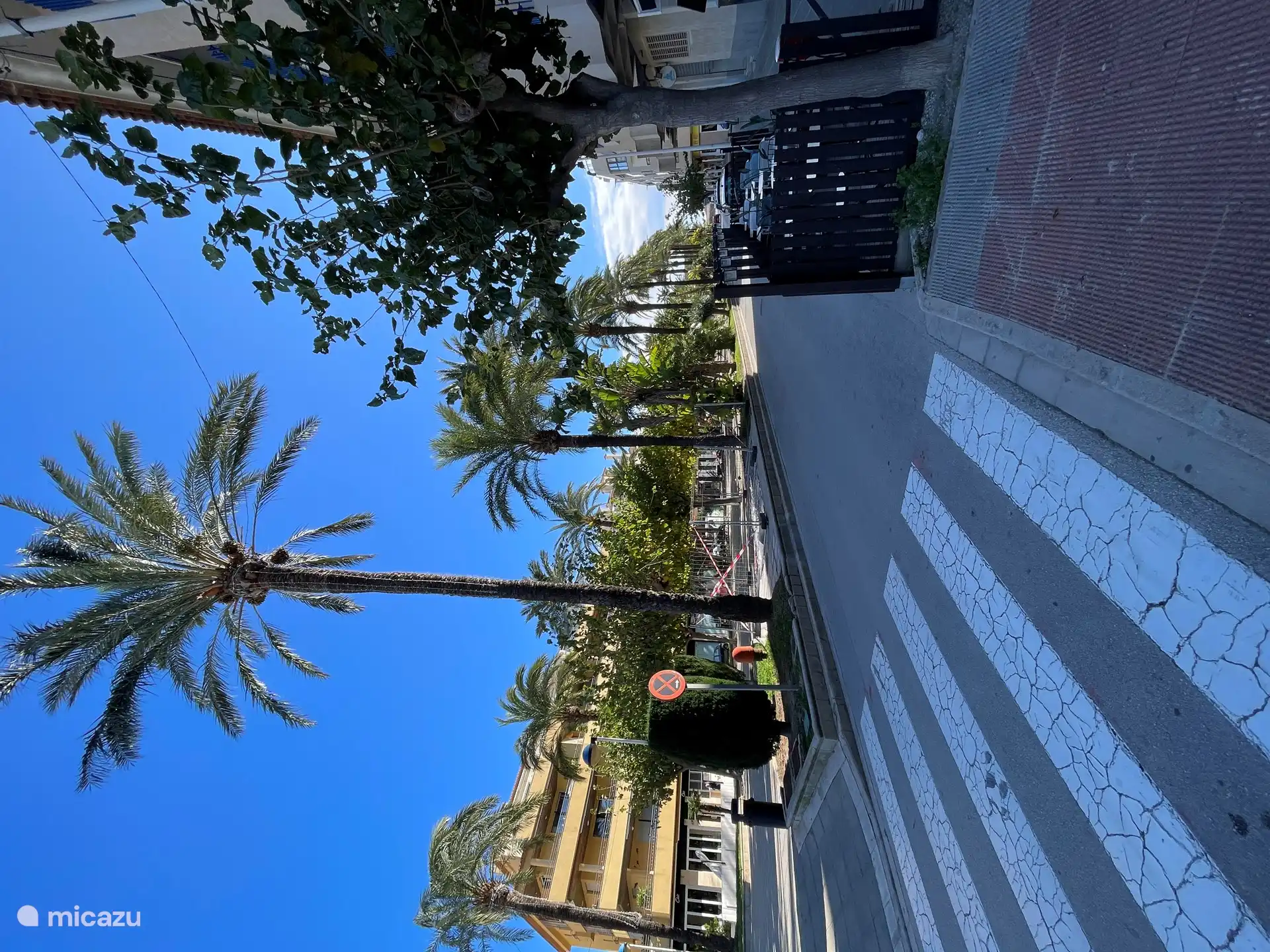 Avenida de la Paz, die Hauptstraße von Moraira mit einer angenehmen Promenade und Palmen.