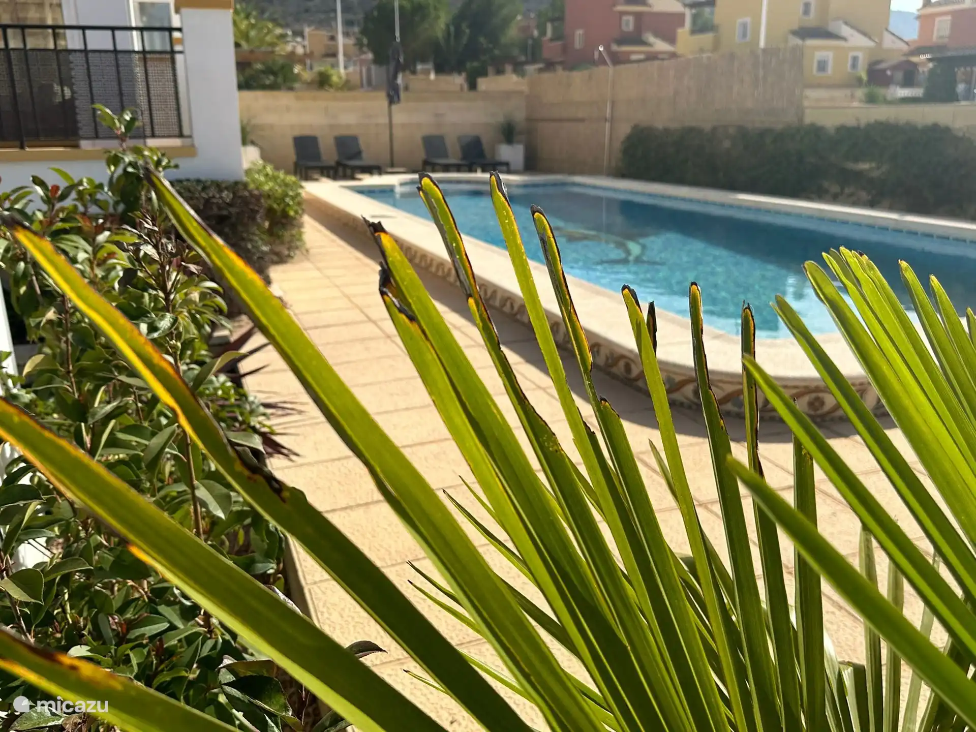 Belle piscine 5 x 10 mètres