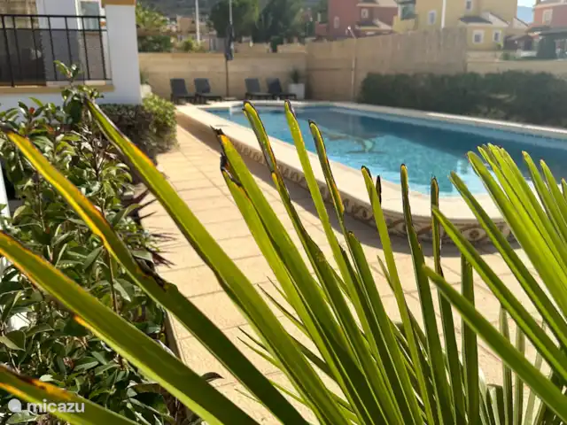 villa huren in Spanje, Costa Blanca, Hondón de las Nieves – Casa la Costa Blanca Prachtig zwembad 5 x 10 meter