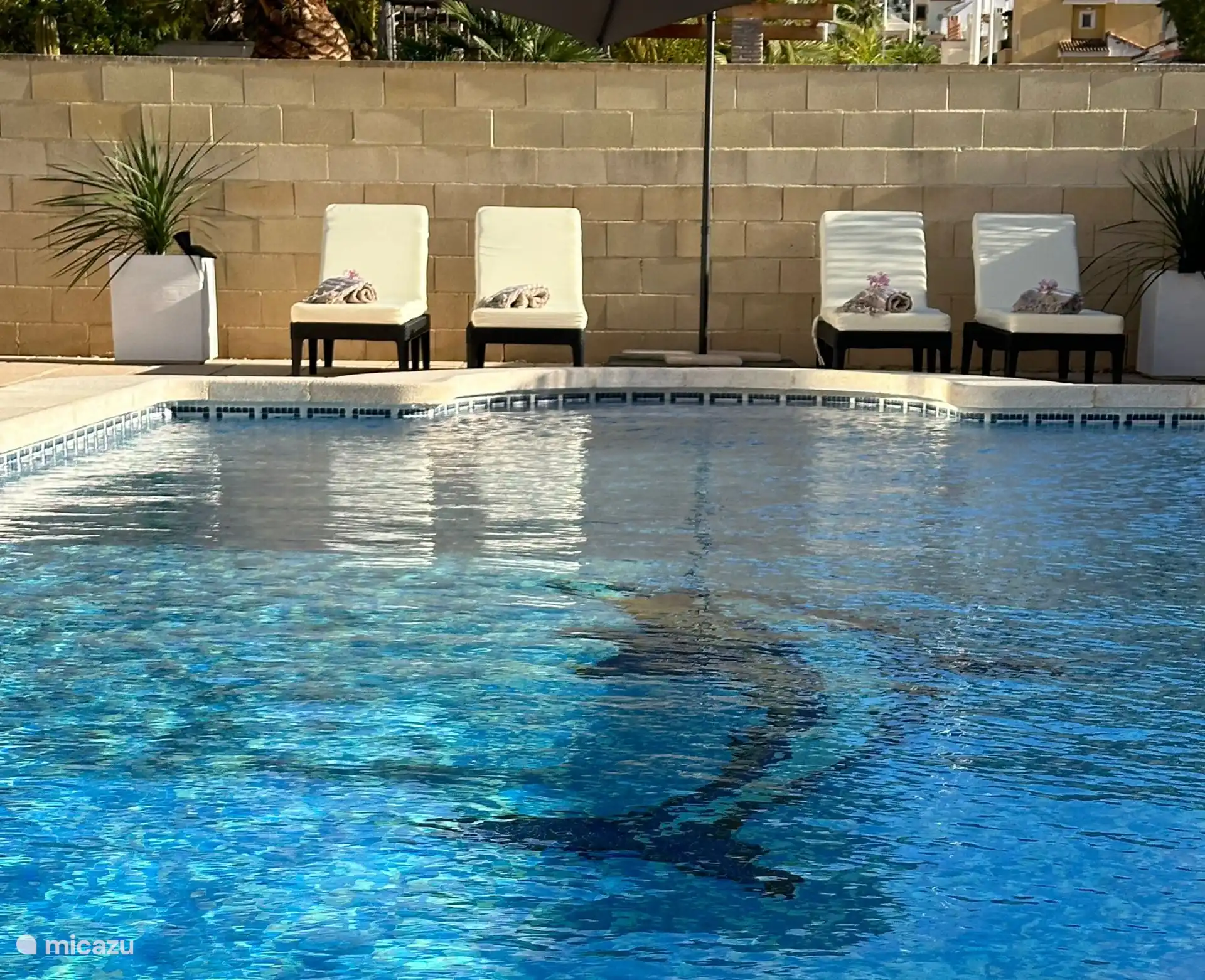 Piscine avec 4 transats