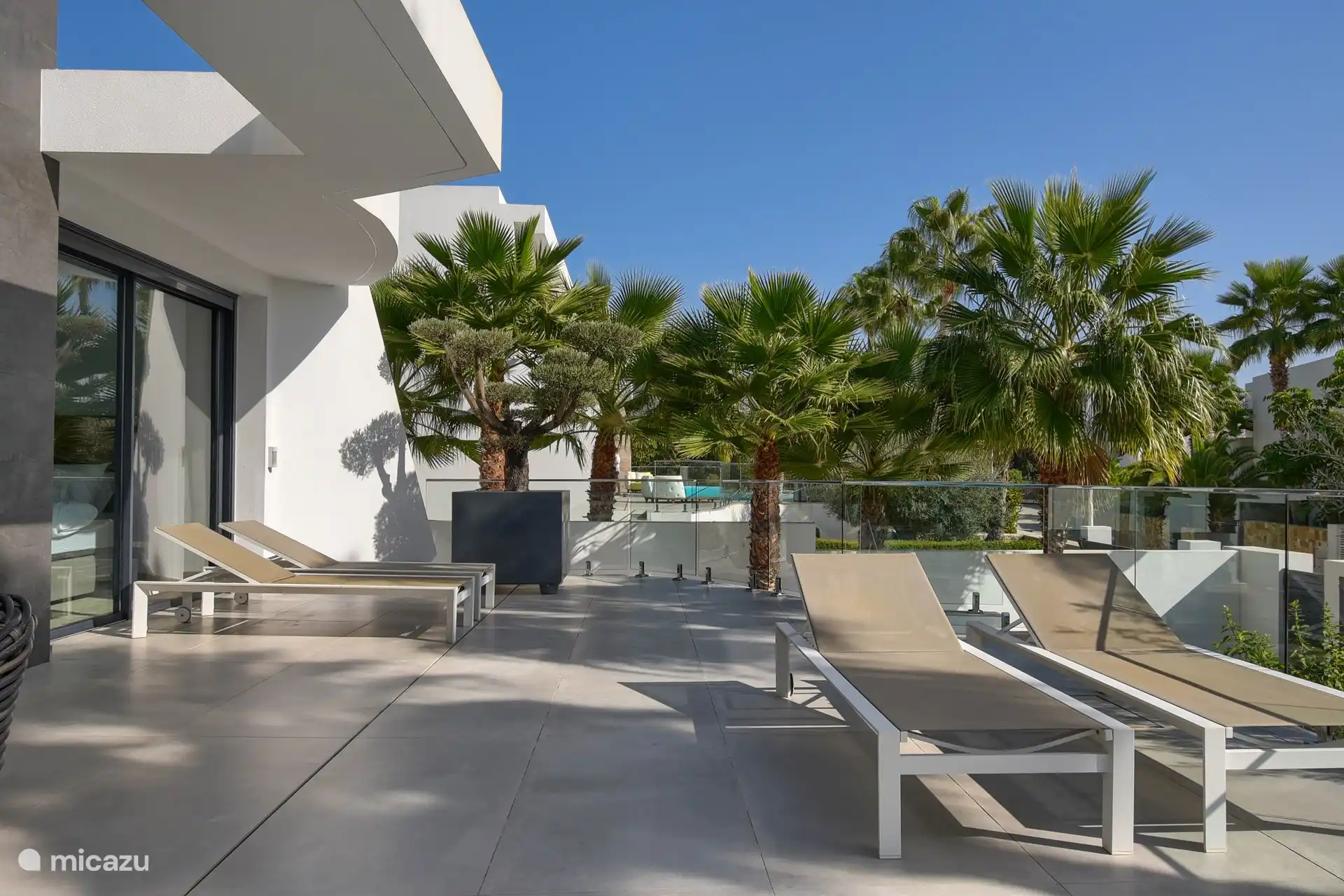 Chaises longues disponibles