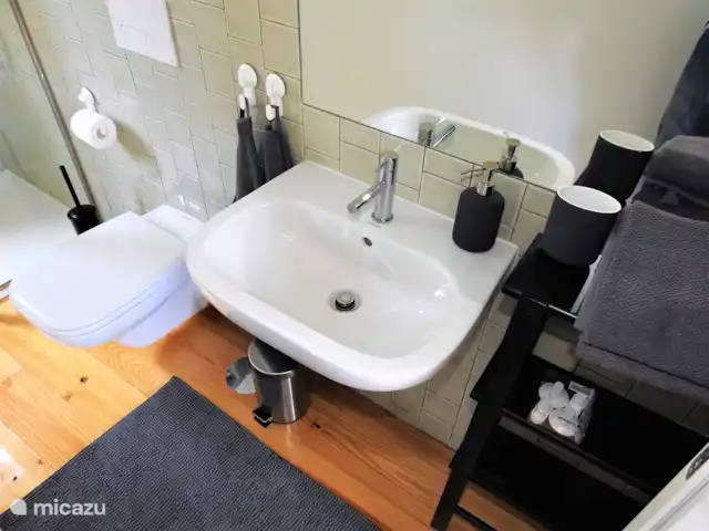 Oporto Delight Apartment 2 huren in Portugal, Porto, Porto - appartement Badkamer met wasbak, toilet en inloop douche.