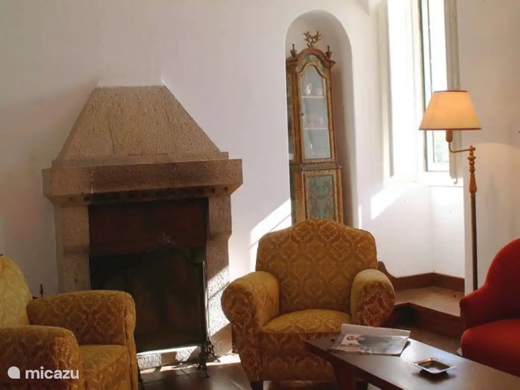 Fireplace in the living room