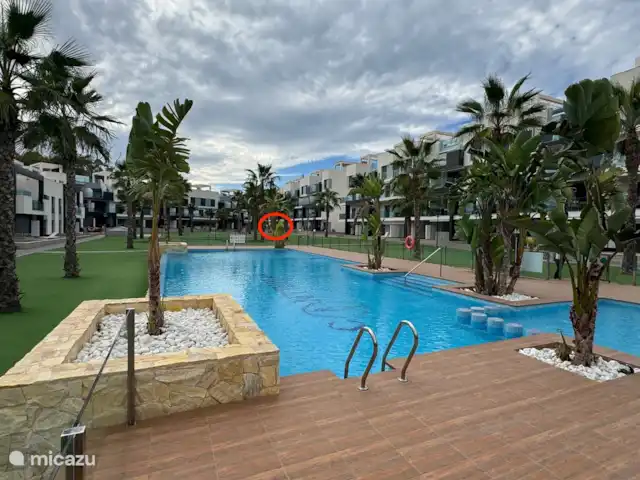 appartement huren in Spanje, Costa Blanca, Guardamar del Segura – Oasis Beach Appartement - Casa Titz Poel