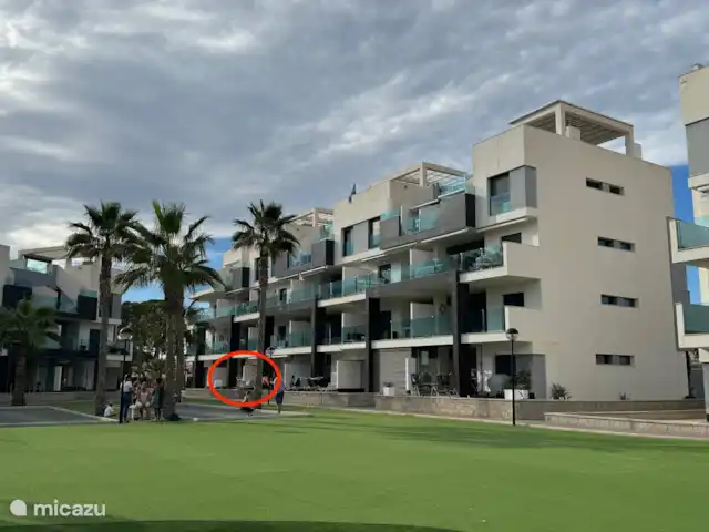 appartement huren in Spanje, Costa Blanca, Guardamar del Segura – Oasis Beach Appartement - Casa Titz Locatie van het appartement