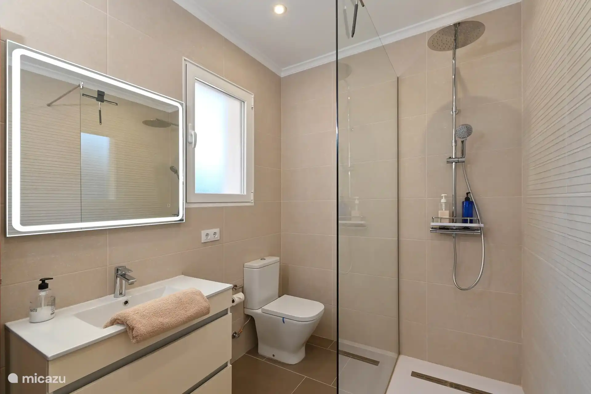 Salle de bain privée avec douche à effet pluie