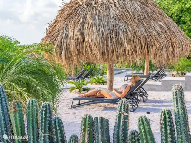 Votre propre station balnéaire privée CasAbao | Curaçao, Banda Abou (ouest), Cas Abao - villa Jardin de plage avec palmiers