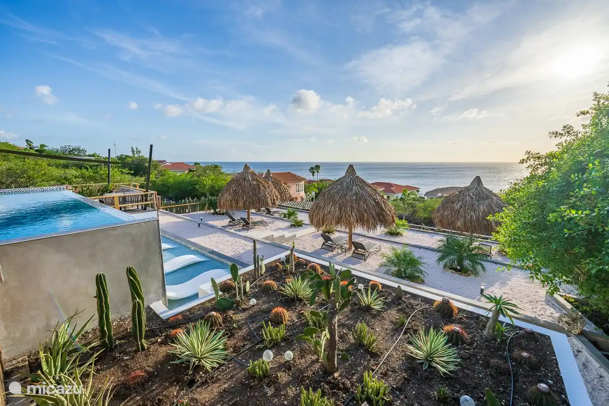 Kakteengarten, Swimmingpool und Infinity-Bereich mit 4 Unterwasserliegen.