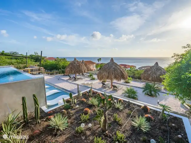 Votre propre station balnéaire privée CasAbao | Curaçao, Banda Abou (ouest), Cas Abao - villa Jardin de cactus, piscine et zone à débordement avec 4 transats sous-marins.