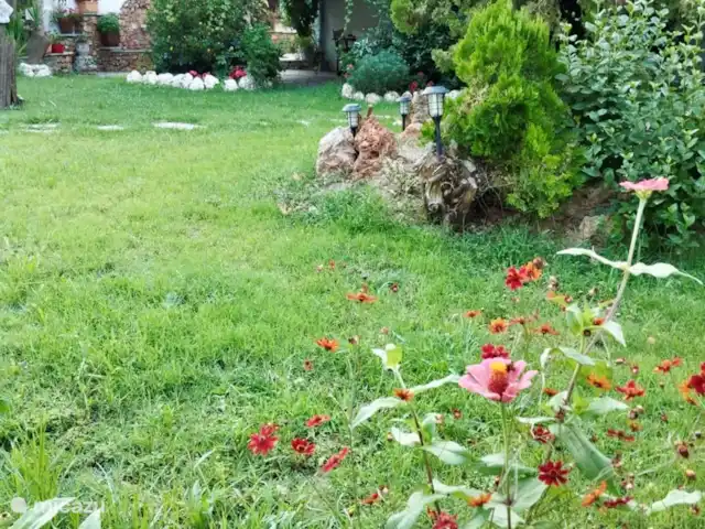 pension / guesthouse / privékamer huren in Griekenland, Pilion, Platania – Villa Katerina - Aias Villa Katerina - Tuin