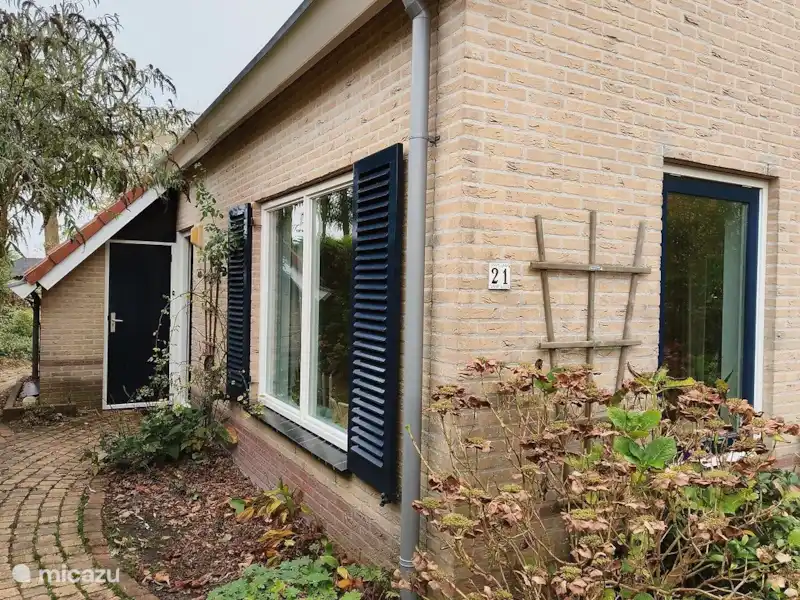 Crête de la plage | Pays-Bas, Hollande méridionale, Noordwijkerhout - Bungalow Crête de la plage | Pays-Bas, Hollande méridionale, Noordwijkerhout - Bungalow