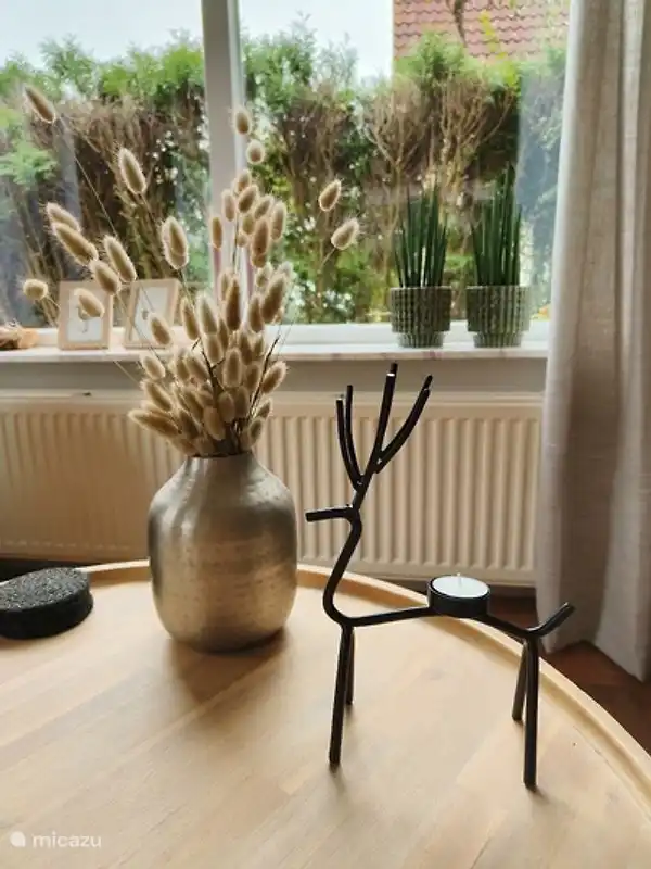 Dekoration, man kommt hier nach Hause und nicht in ein kahles Ferienhaus