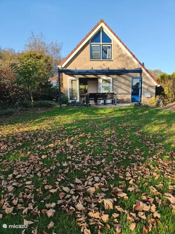 Zurück mit Spielwiese