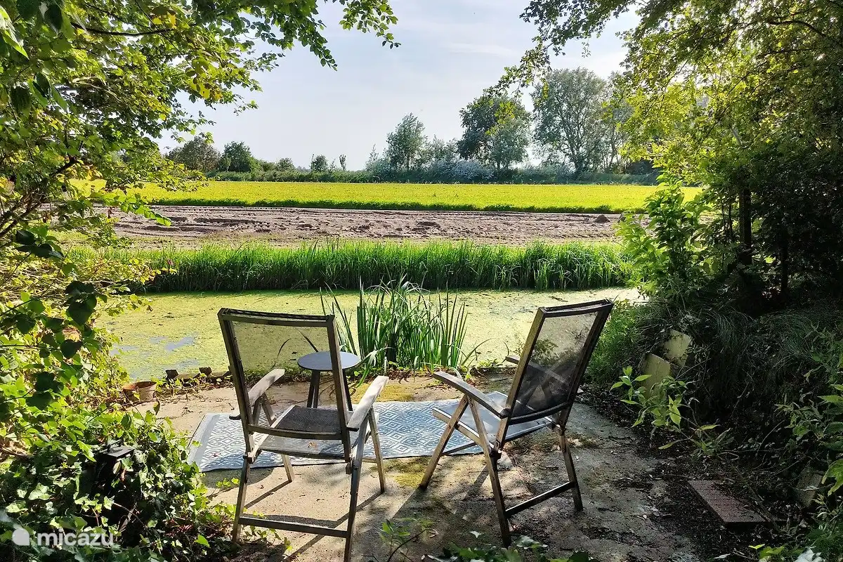 Terrasse am Wasser mit Blick auf die (Blumen-)Felder und das Oosterduinse Meer