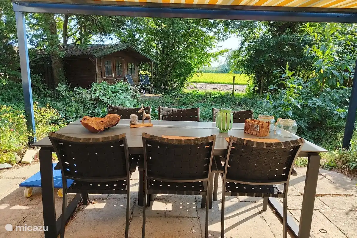 Blick von der überdachten Terrasse im Hinterhof