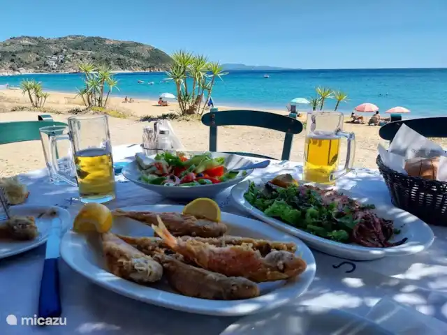 Location de Vacances Grèce, Pelion, Platania, pension / maison d’hôtes / chambre privée - Villa Katerina - Agamemnon  Un repas traditionnel grec