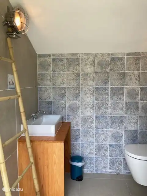 Three additional bathrooms with shower and toilet outside in the pool house.