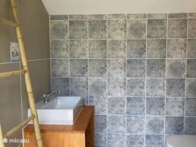 La Grande Maison de Migou | France, Tarn-et-Garonne, Larrazet - manoir / château Trois salles de bains supplémentaires avec douche et WC à l’extérieur dans le pool house.
