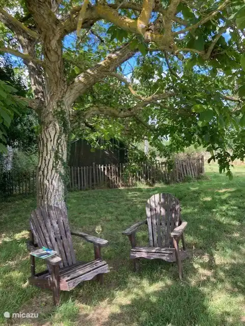 Finally time for a good book and glass of wine under the walnut tree.