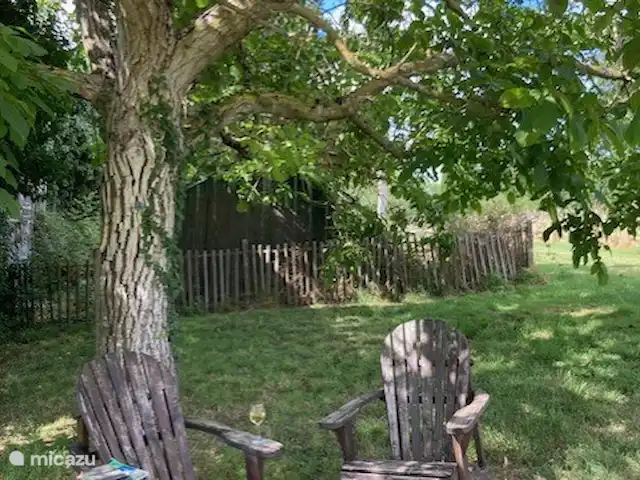 La Grande Maison de Migou | France, Tarn-et-Garonne, Larrazet - manoir / château Enfin, il est temps de prendre un bon livre et un verre de vin sous le noyer.