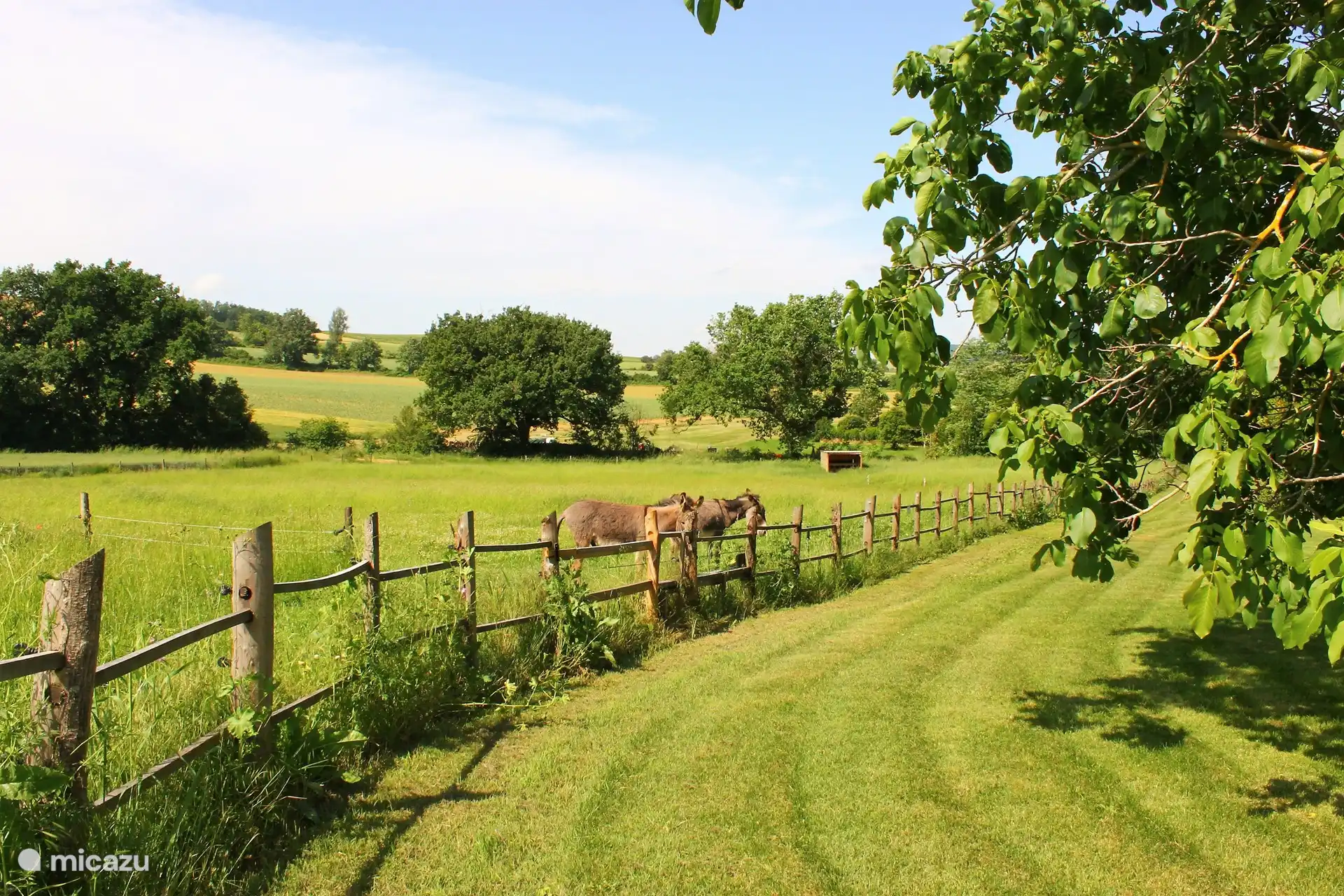 You share the estate with our animals.