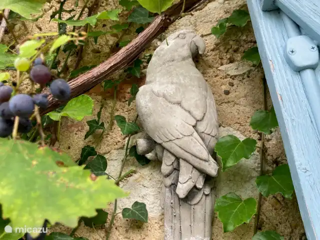 La Grande Maison de Migou | France, Tarn-et-Garonne, Larrazet - manoir / château De l’art et d’autres détails sympas un peu partout sur le domaine.